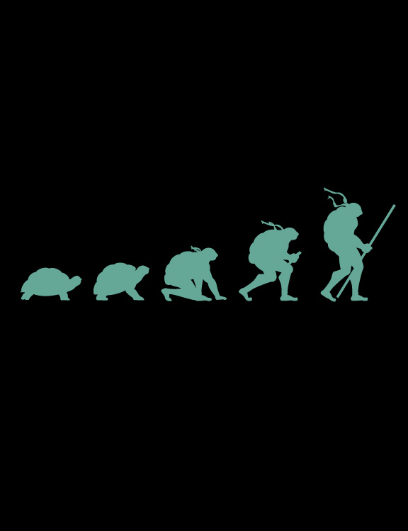 Excelentes diseños de remeras Excelentes diseños de remeras
